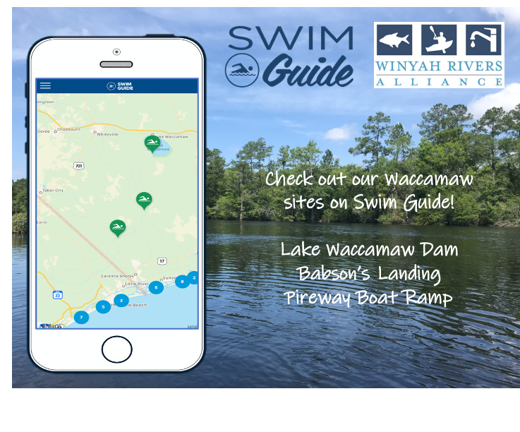 Swim Guide Results Are In! All Green!