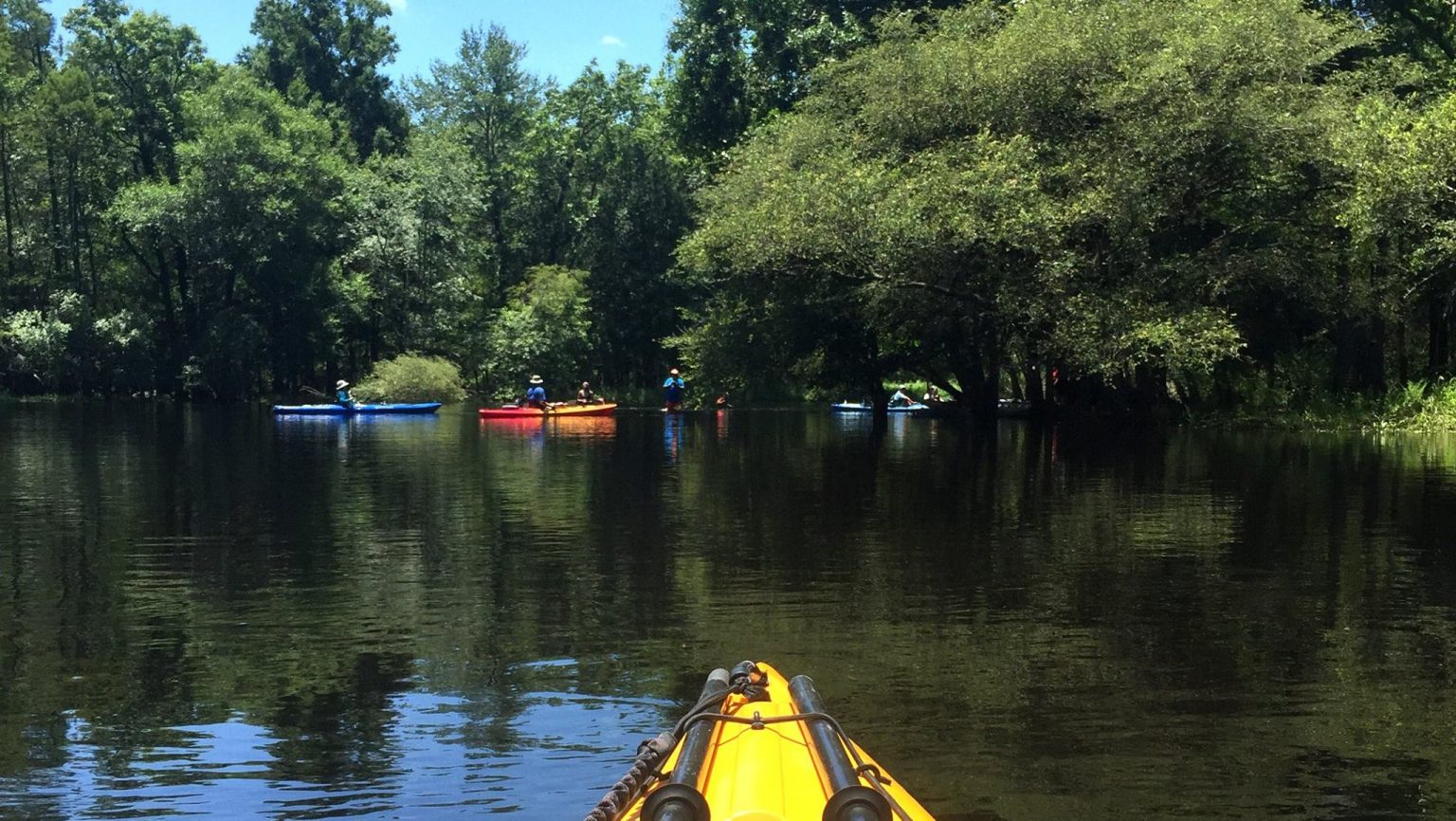 Community Watershed Science on the Wild & Scenic Lumber River