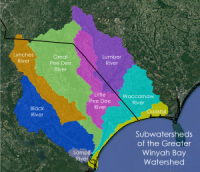 Subwatersheds of the greater Winyah Bay watershed