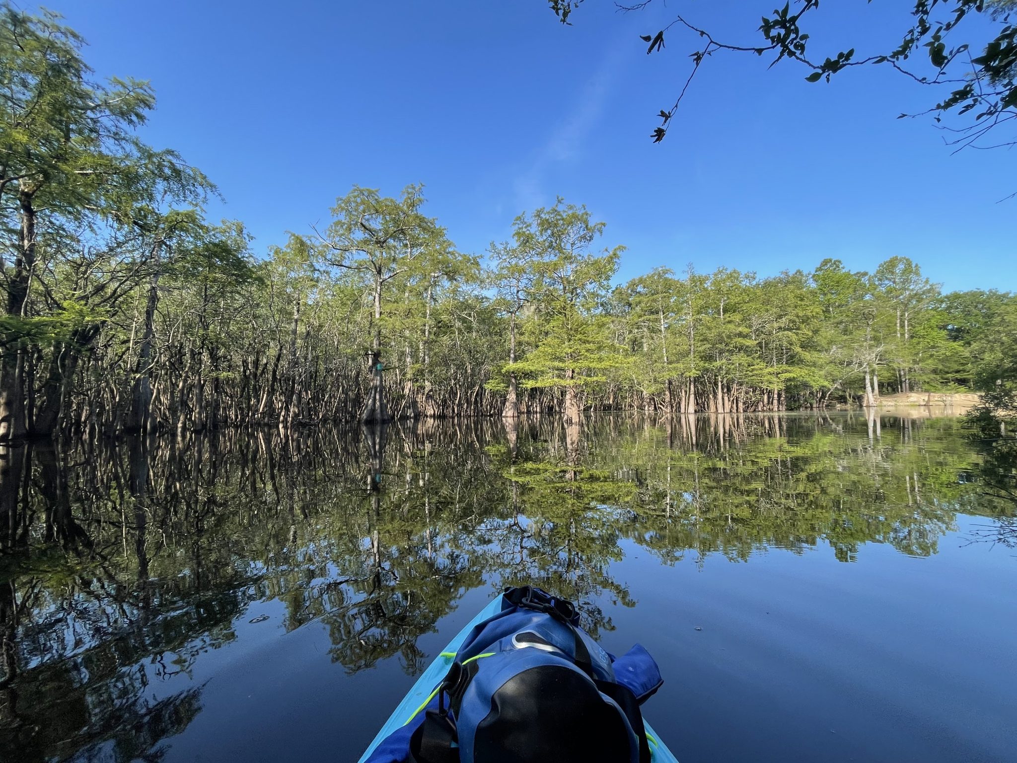 Waccamaw Riverkeeper Paddle Patrol